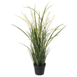 FEJKA planta artificial, interior/exterior decoración/hierba, 9 cm - IKEA