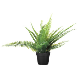 FEJKA planta artificial, interior/exterior helecho, 9 cm - IKEA